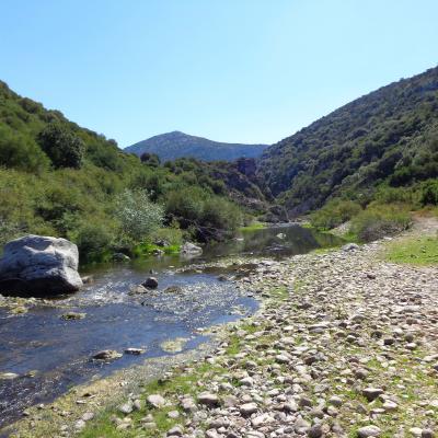 Kayak Panoramica Su Cedrino Sardegna Prato Verde