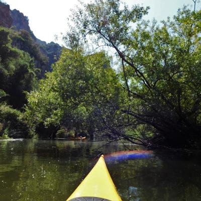 Kayak Fiume Coghinas Passaggi Sotto Le Piante