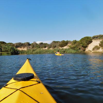 Kayak Fiume Coghinas Vicino Al Mare