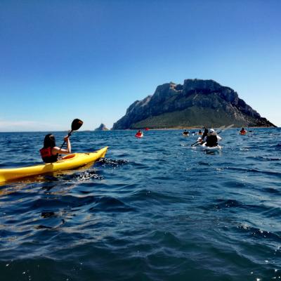 Area Marina Tavolara Kayak